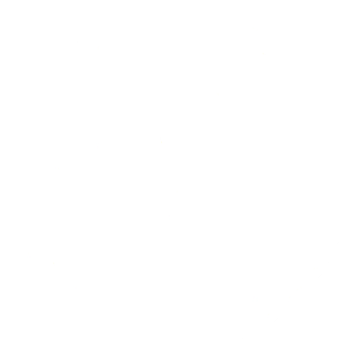 WordPress Logo